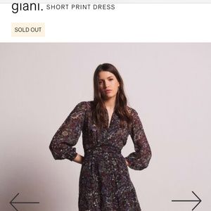 ba&sh (Giani shirt dress)